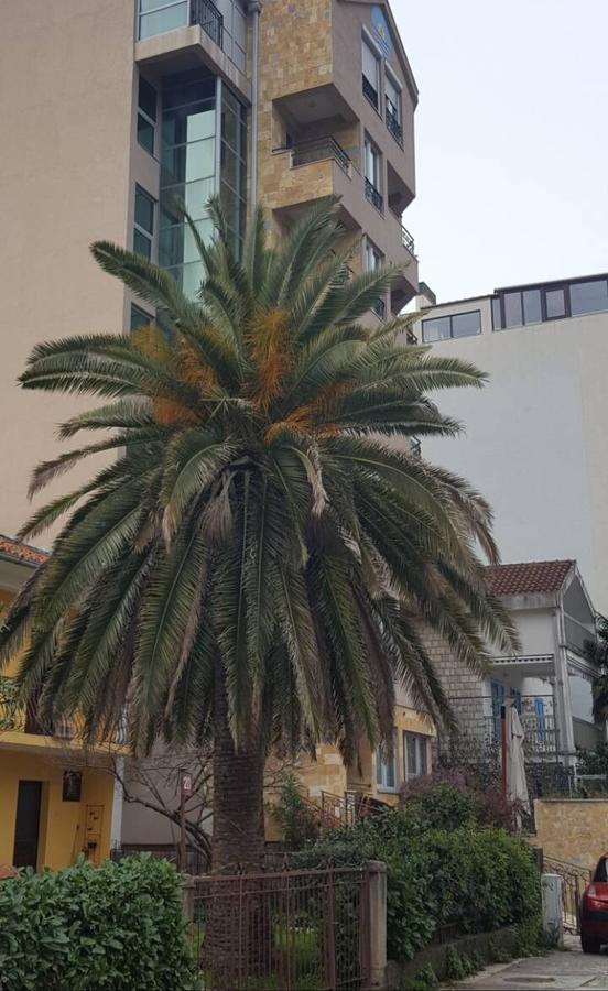 Ferienwohnung Apartman Centar Lux Budva Exterior foto